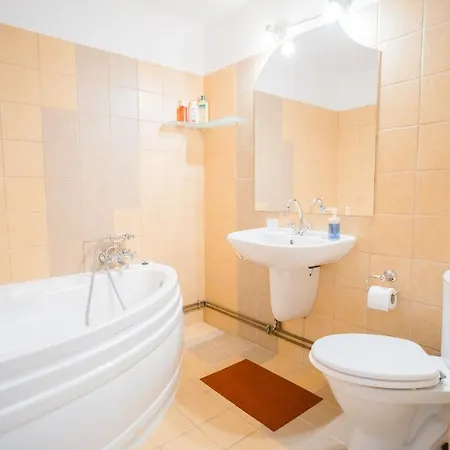 Apartment Rustic & Spacious 3br Bucharest